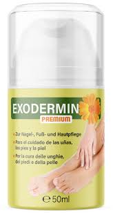 Exodermin Premium Quotidienne : Crème Mycose Pieds Efficace
