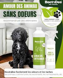 Désodorisant BactoDes Animal - Anti Odeur Chien Efficace