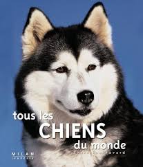 Tous Chiens Monde Christian Havard - Le soin parfait pour votre chien