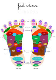 Ebook Complet de Réflexologie : Libérez le Pouvoir de Vos Pieds