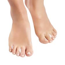 Séparateurs d'Oreilles Perdrix Epitact - Confort et Protection