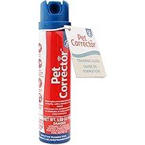 Spray correcteur pour chiens - Company Animals